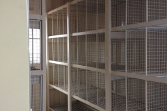 padrao-2020_0009s_0000_WhatsApp-Image-2019-11-11-at-09.26.10-2